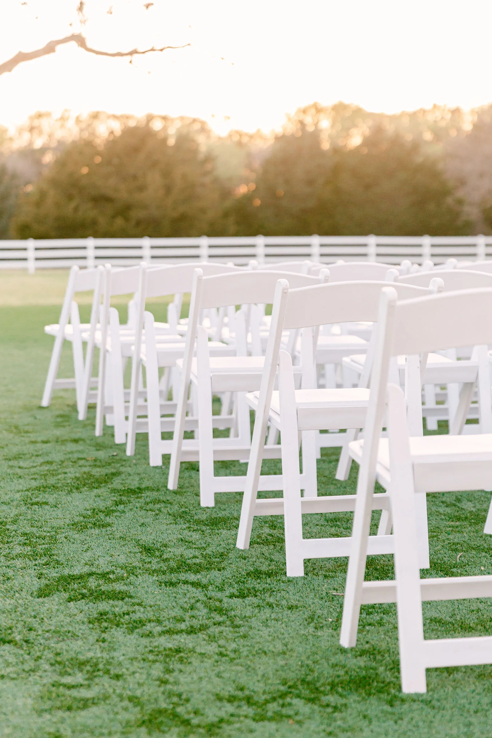 Outdoor ceremony setting showing the seasonal look of the bare tree.